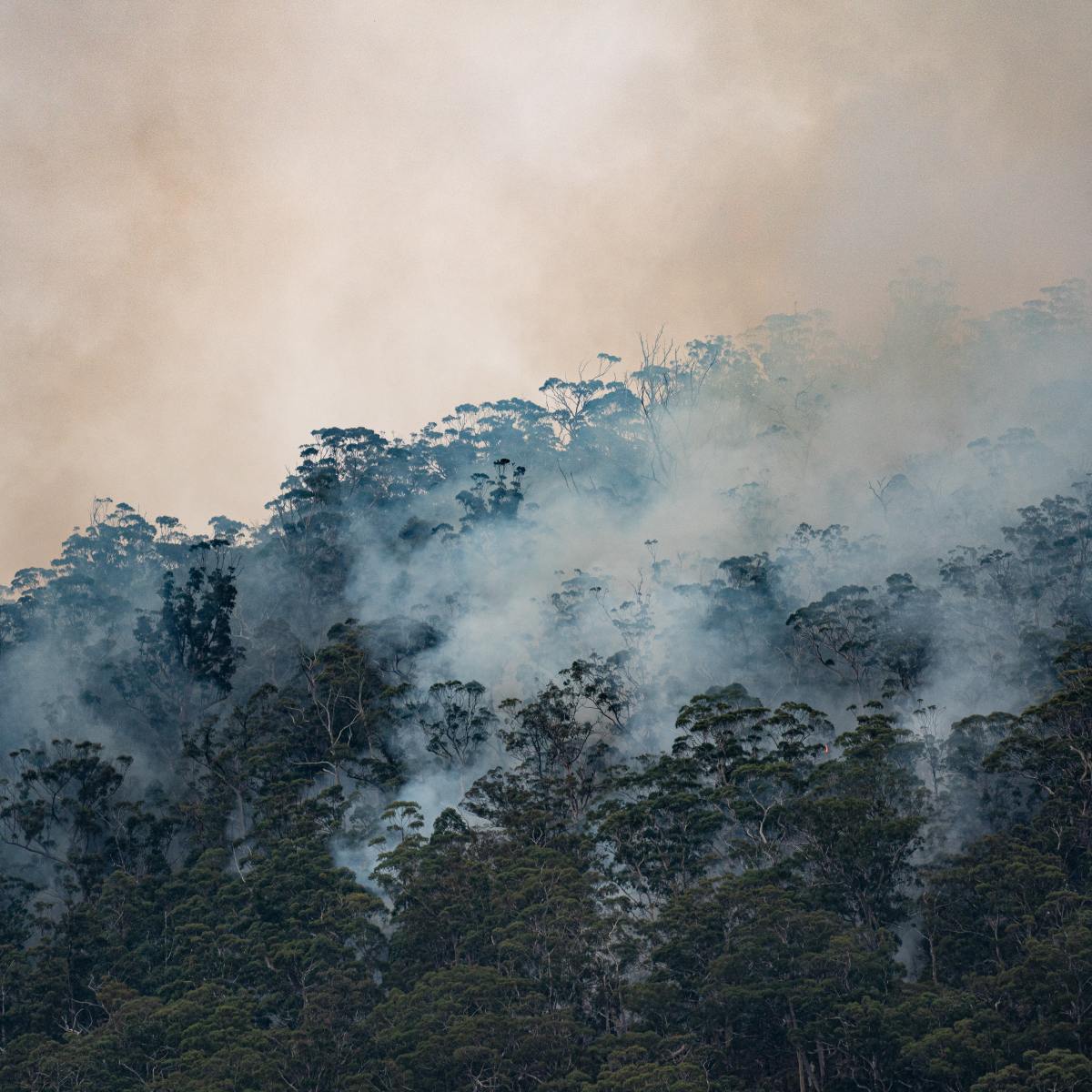 Aktionsbündnis Gesunde Luft &&nbsp;Klimawandel